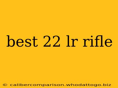 best 22 lr rifle