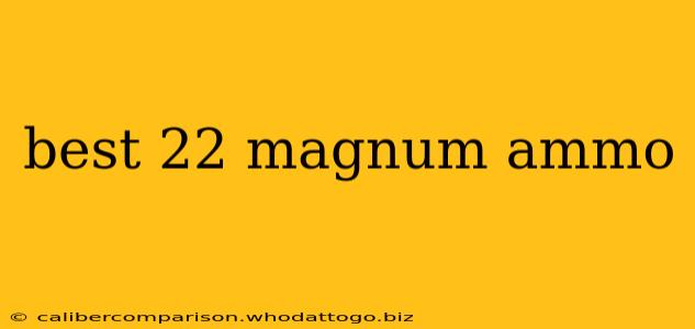 best 22 magnum ammo