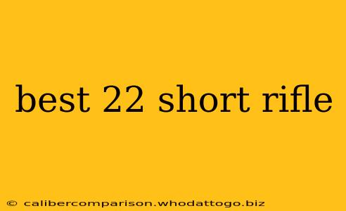 best 22 short rifle