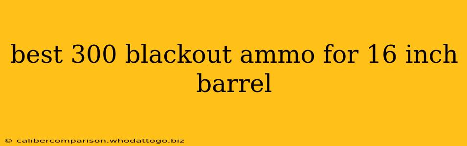 best 300 blackout ammo for 16 inch barrel