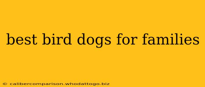 best bird dogs for families