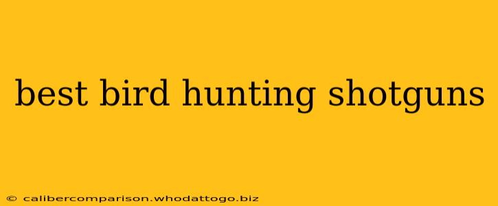 best bird hunting shotguns