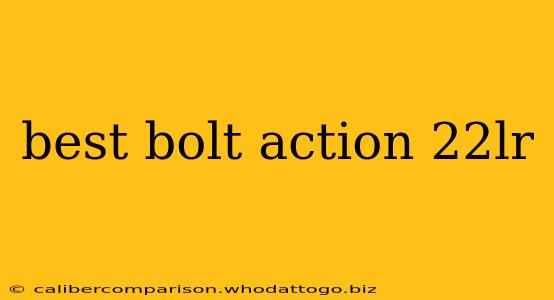 best bolt action 22lr