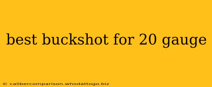 best buckshot for 20 gauge