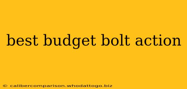 best budget bolt action