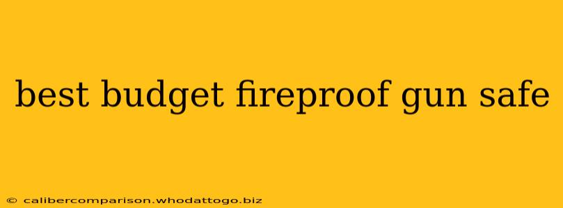 best budget fireproof gun safe