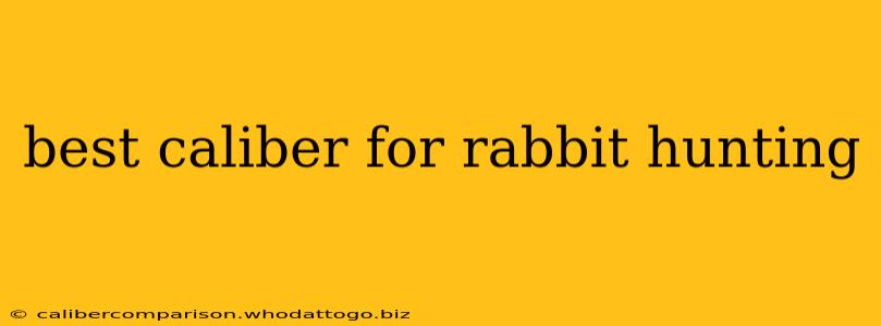 best caliber for rabbit hunting