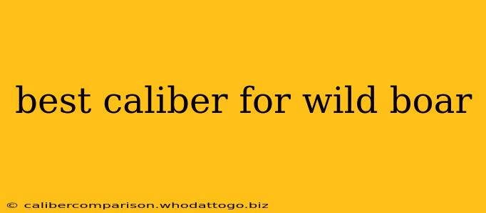 best caliber for wild boar