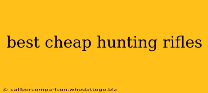 best cheap hunting rifles