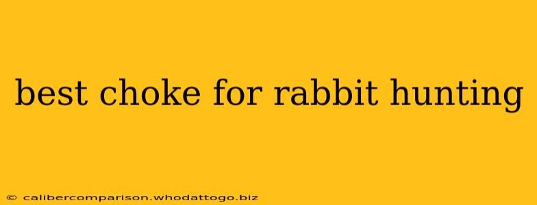 best choke for rabbit hunting