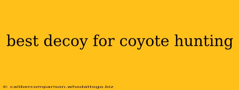 best decoy for coyote hunting