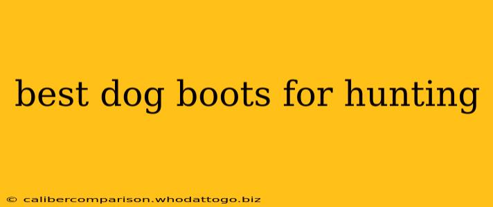 best dog boots for hunting