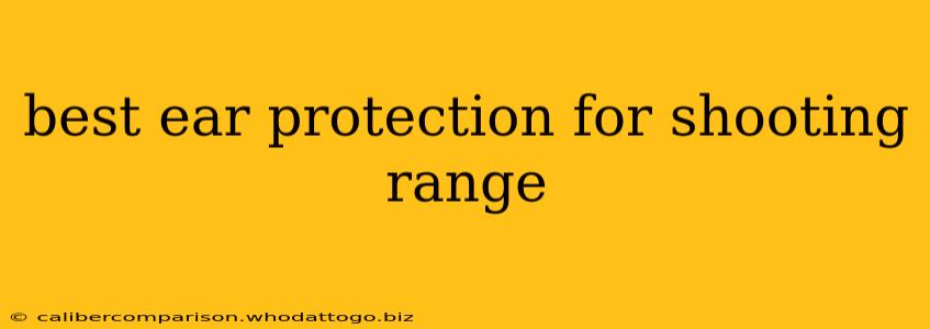 best ear protection for shooting range