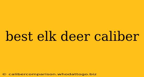 best elk deer caliber