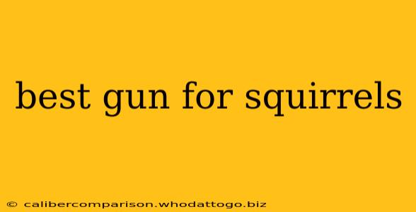 best gun for squirrels