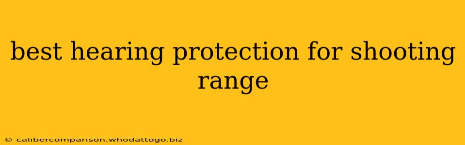 best hearing protection for shooting range