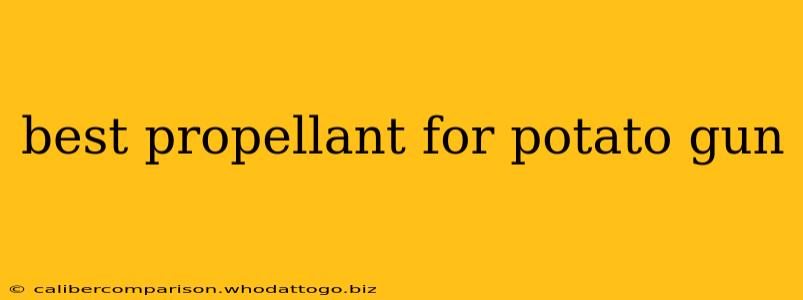 best propellant for potato gun