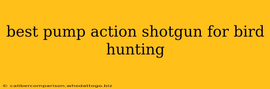 best pump action shotgun for bird hunting