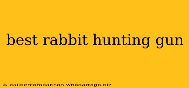 best rabbit hunting gun