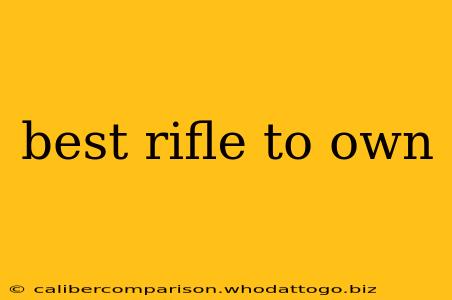 best rifle to own