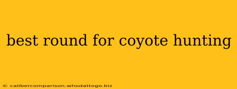 best round for coyote hunting