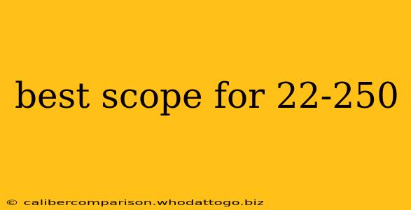 best scope for 22-250