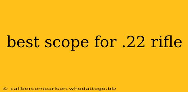 best scope for .22 rifle