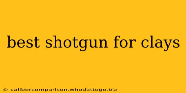 best shotgun for clays