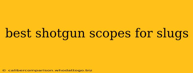 best shotgun scopes for slugs