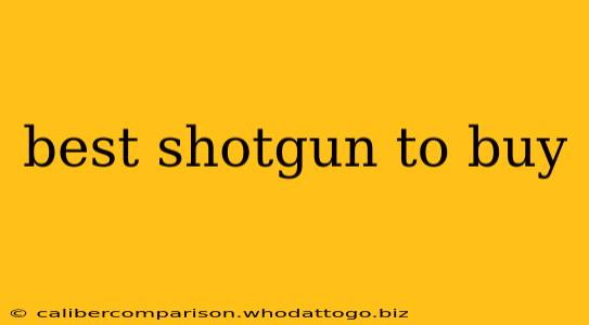 best shotgun to buy