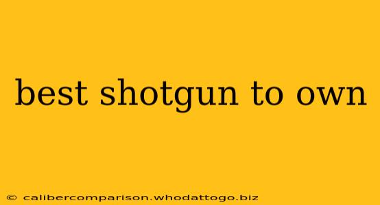 best shotgun to own