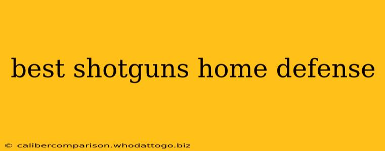 best shotguns home defense