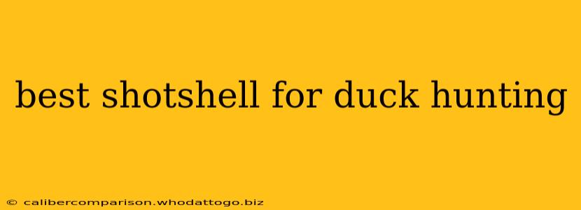 best shotshell for duck hunting