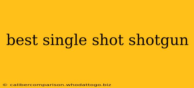 best single shot shotgun