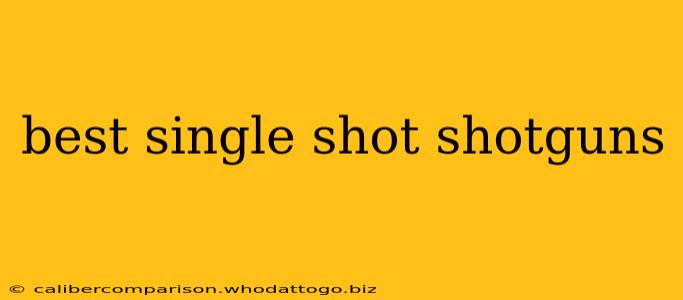 best single shot shotguns