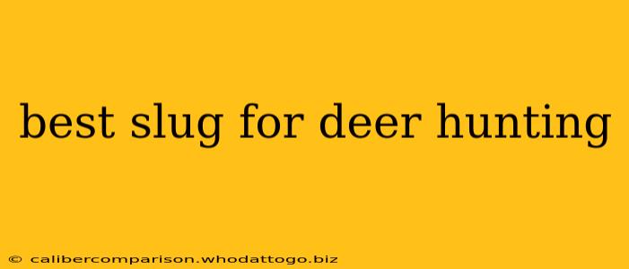 best slug for deer hunting