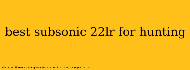 best subsonic 22lr for hunting