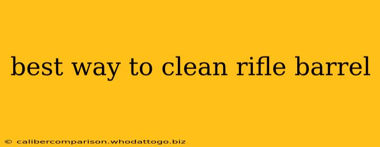 best way to clean rifle barrel