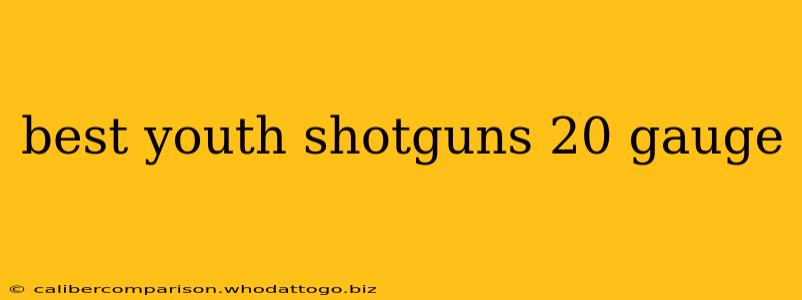 best youth shotguns 20 gauge