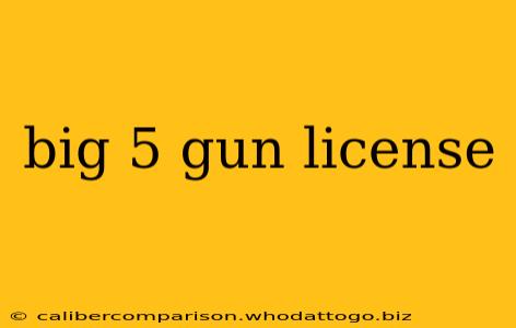 big 5 gun license