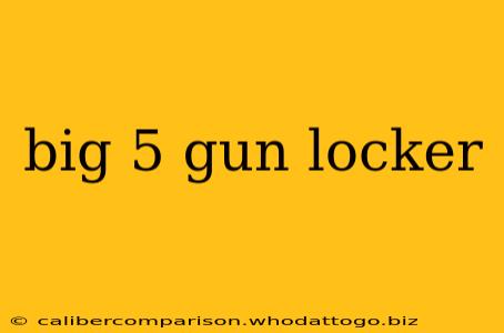 big 5 gun locker