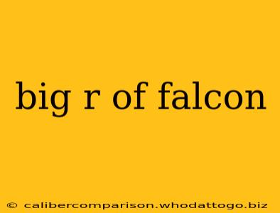 big r of falcon