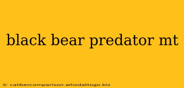 black bear predator mt