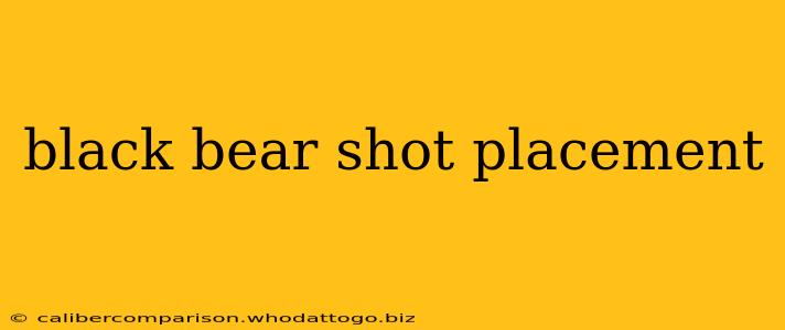 black bear shot placement