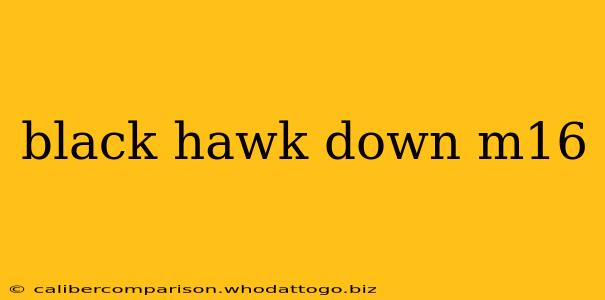 black hawk down m16