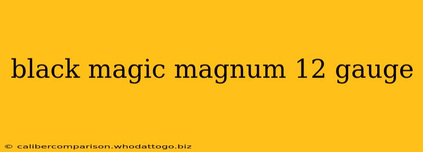 black magic magnum 12 gauge