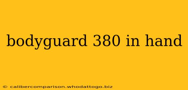 bodyguard 380 in hand