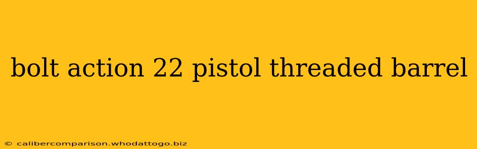 bolt action 22 pistol threaded barrel