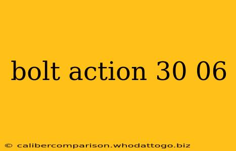 bolt action 30 06