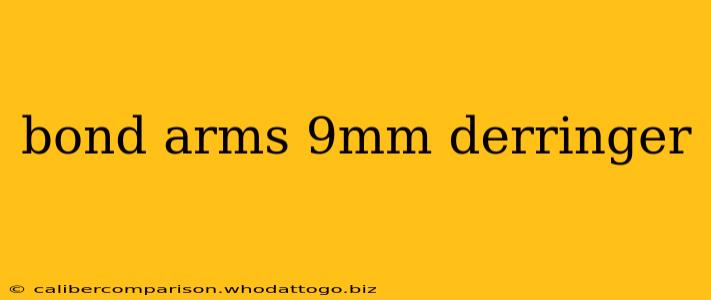 bond arms 9mm derringer